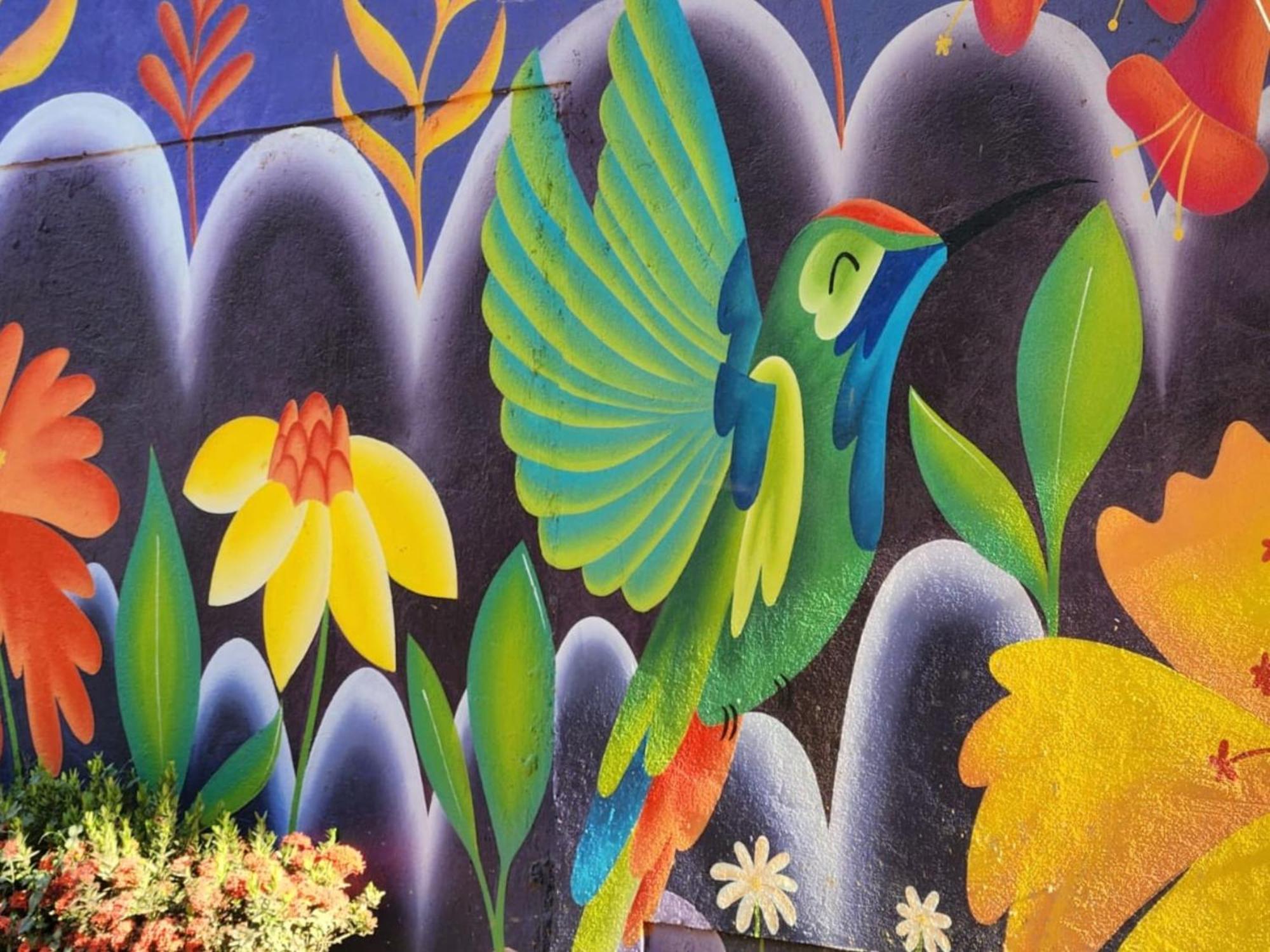 Casa Colibri Palomino Hotel Kültér fotó