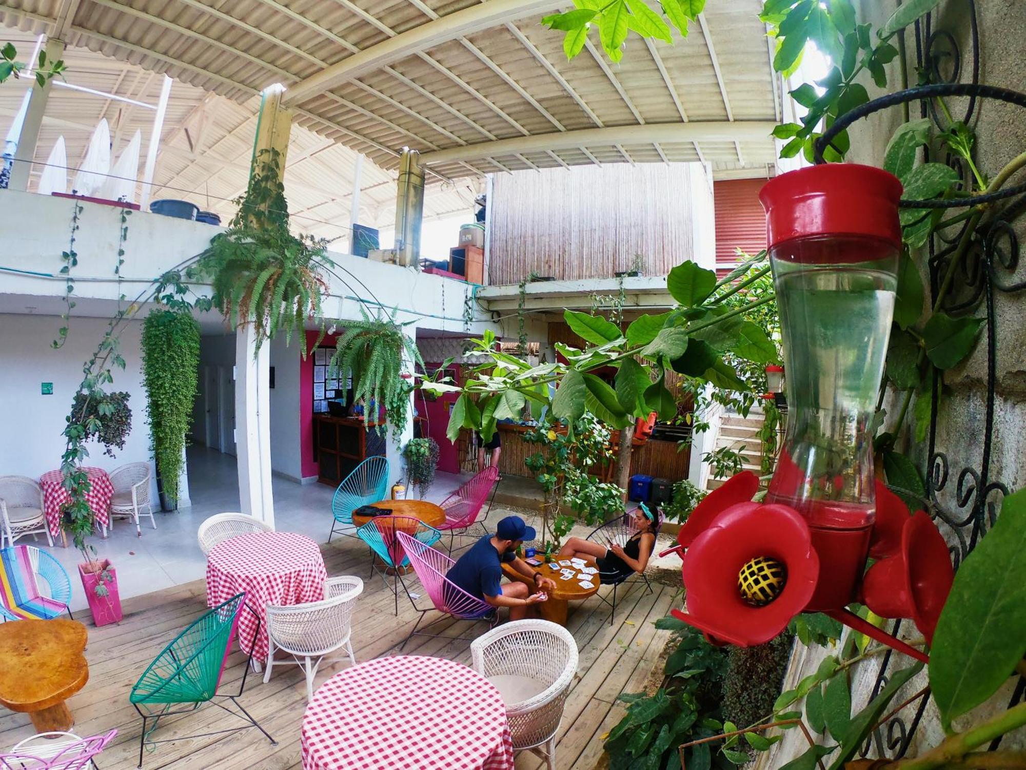 Casa Colibri Palomino Hotel Kültér fotó