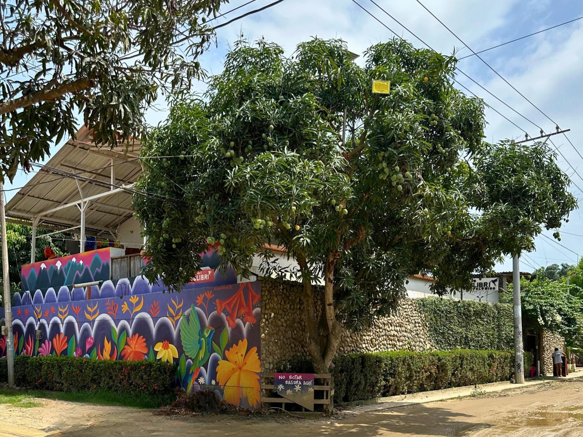 Casa Colibri Palomino Hotel Kültér fotó